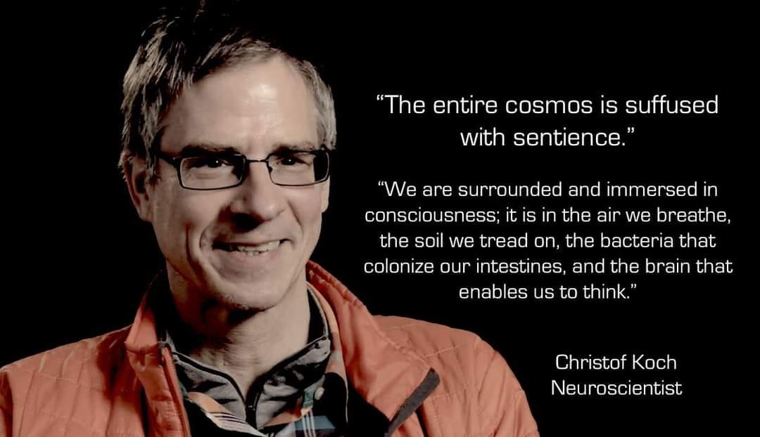 Consciousness everywhere?